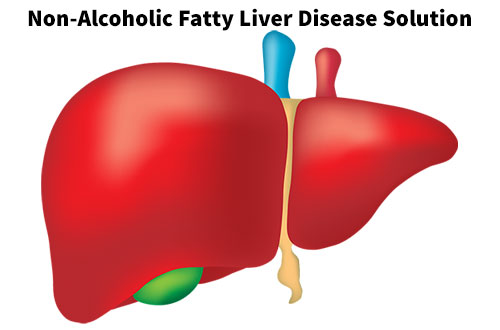 Non-Alcoholic Fatty Liver Disease Solution Review